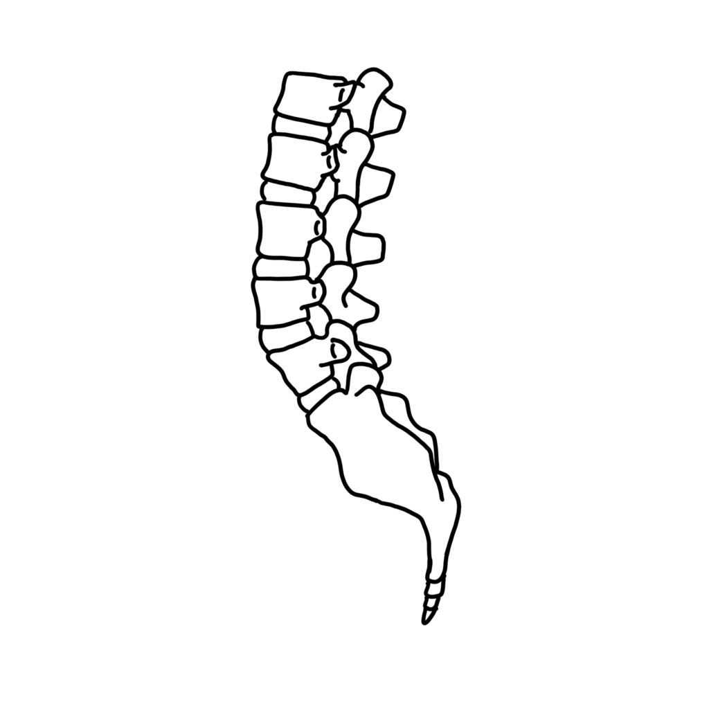 腰椎