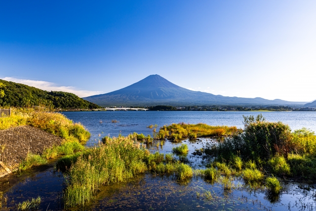 山梨　富士山　河口湖