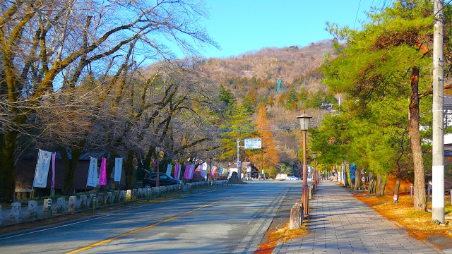 埼玉　宝登山神社参道