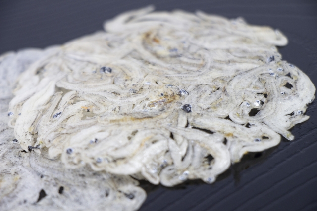 しらすせんべい